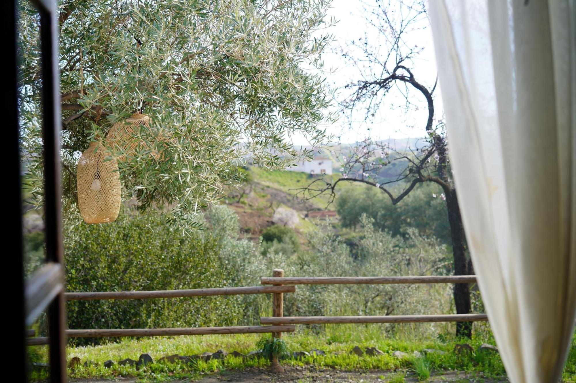 Cortijo Lagar De Luisa Guest House Borge Exterior photo