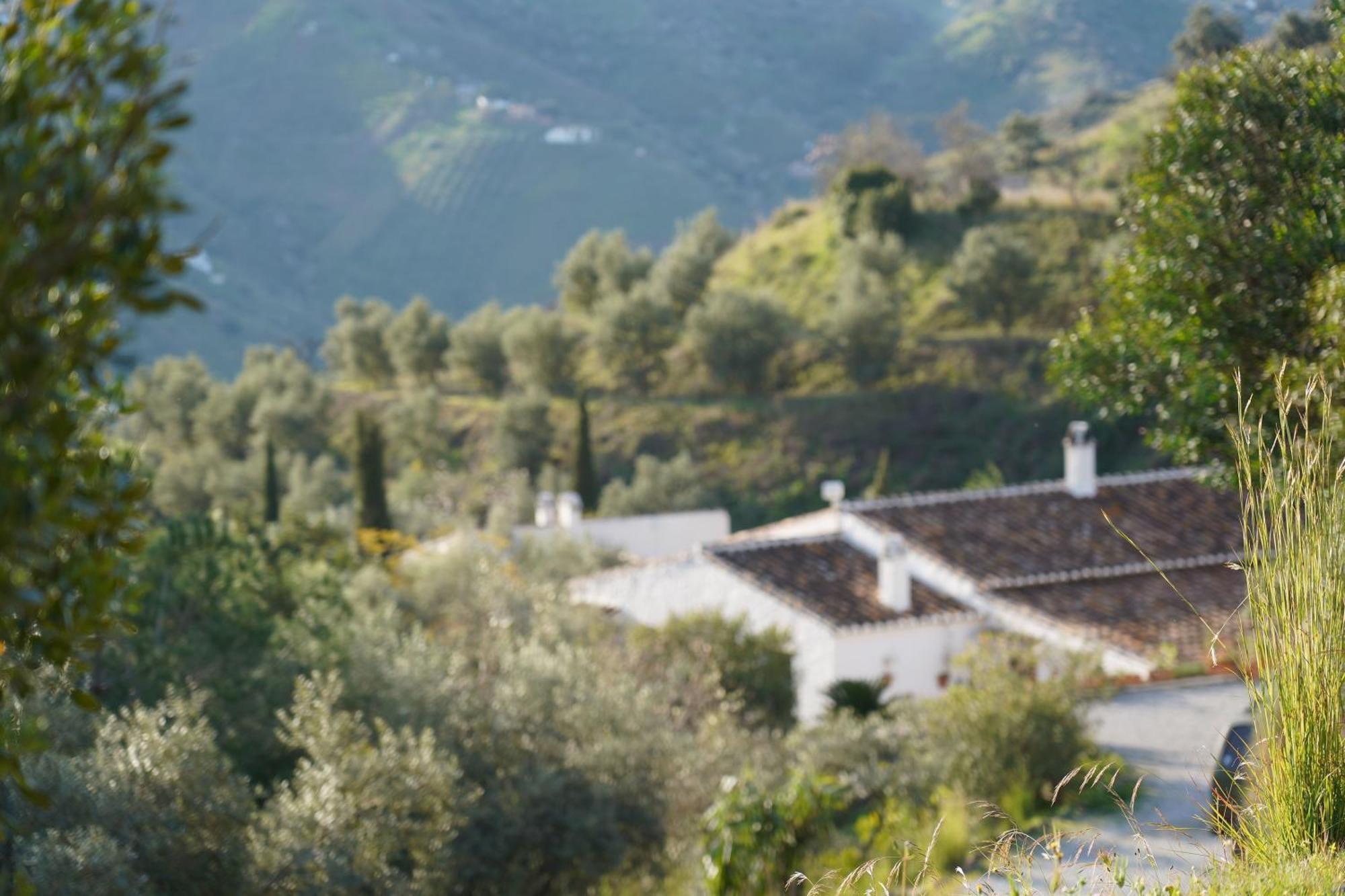 Cortijo Lagar De Luisa Guest House Borge Exterior photo