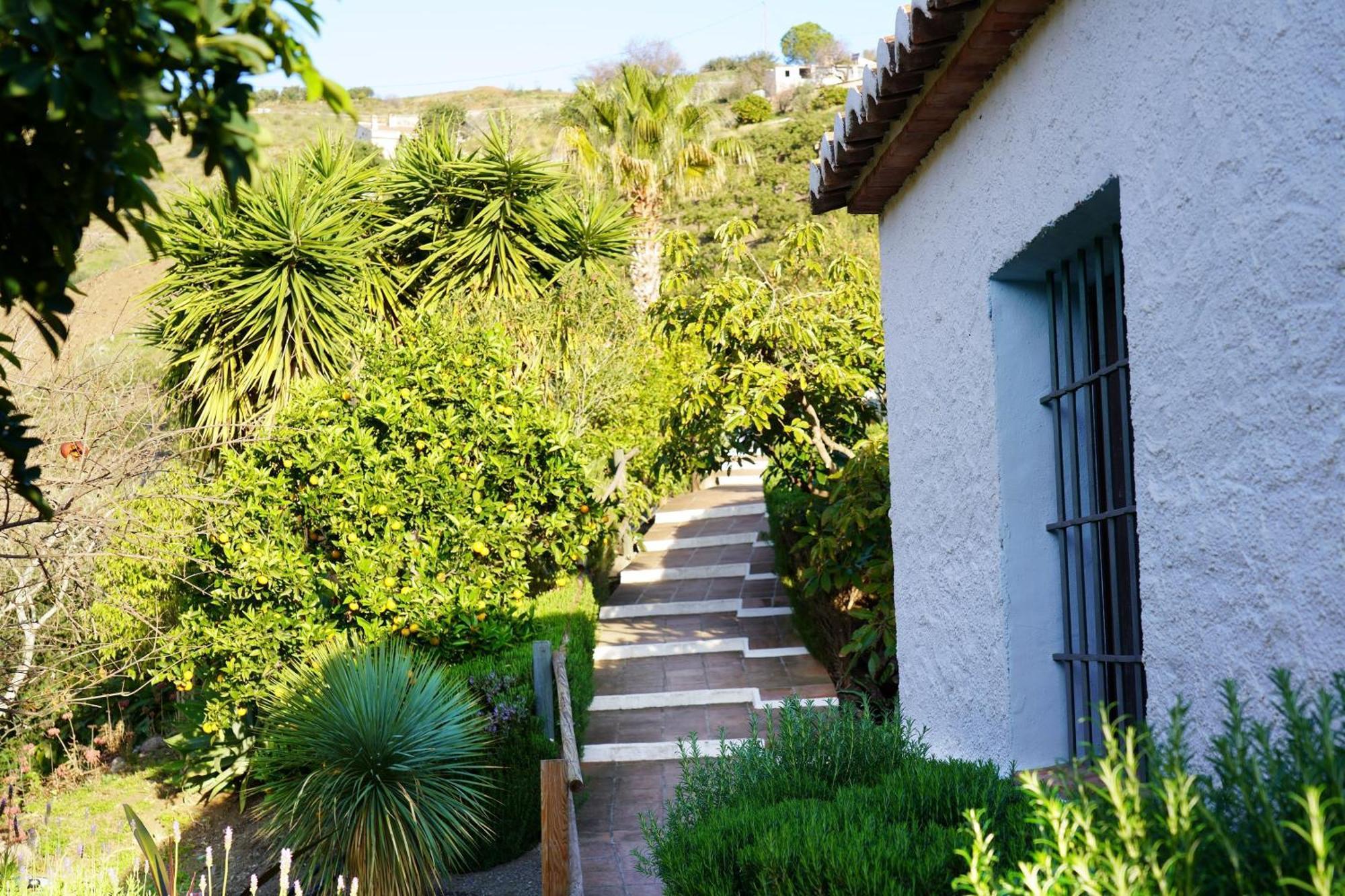 Cortijo Lagar De Luisa Guest House Borge Exterior photo