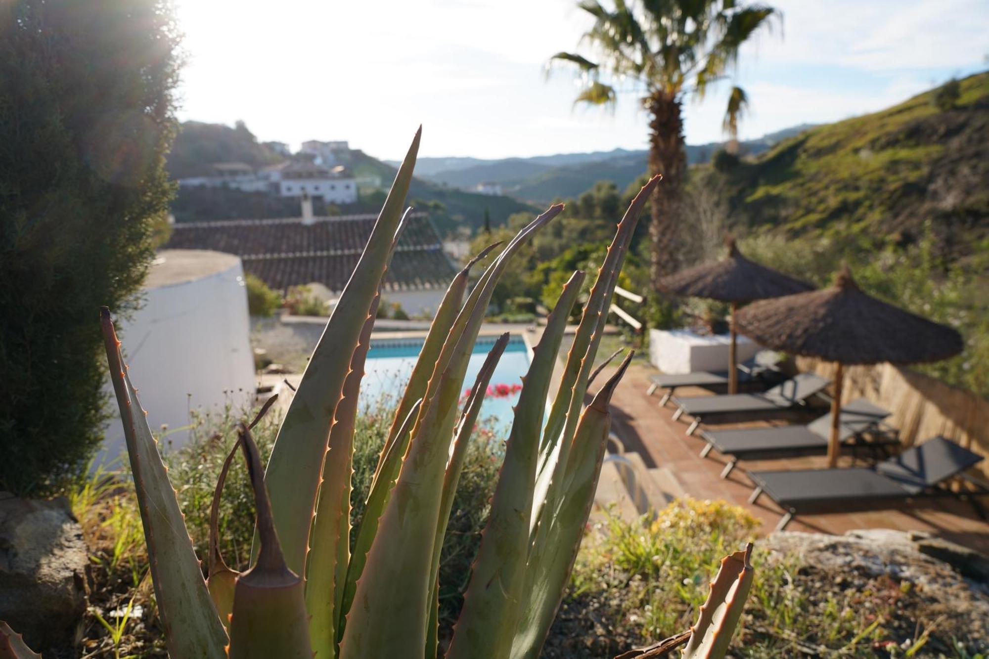 Cortijo Lagar De Luisa Guest House Borge Exterior photo