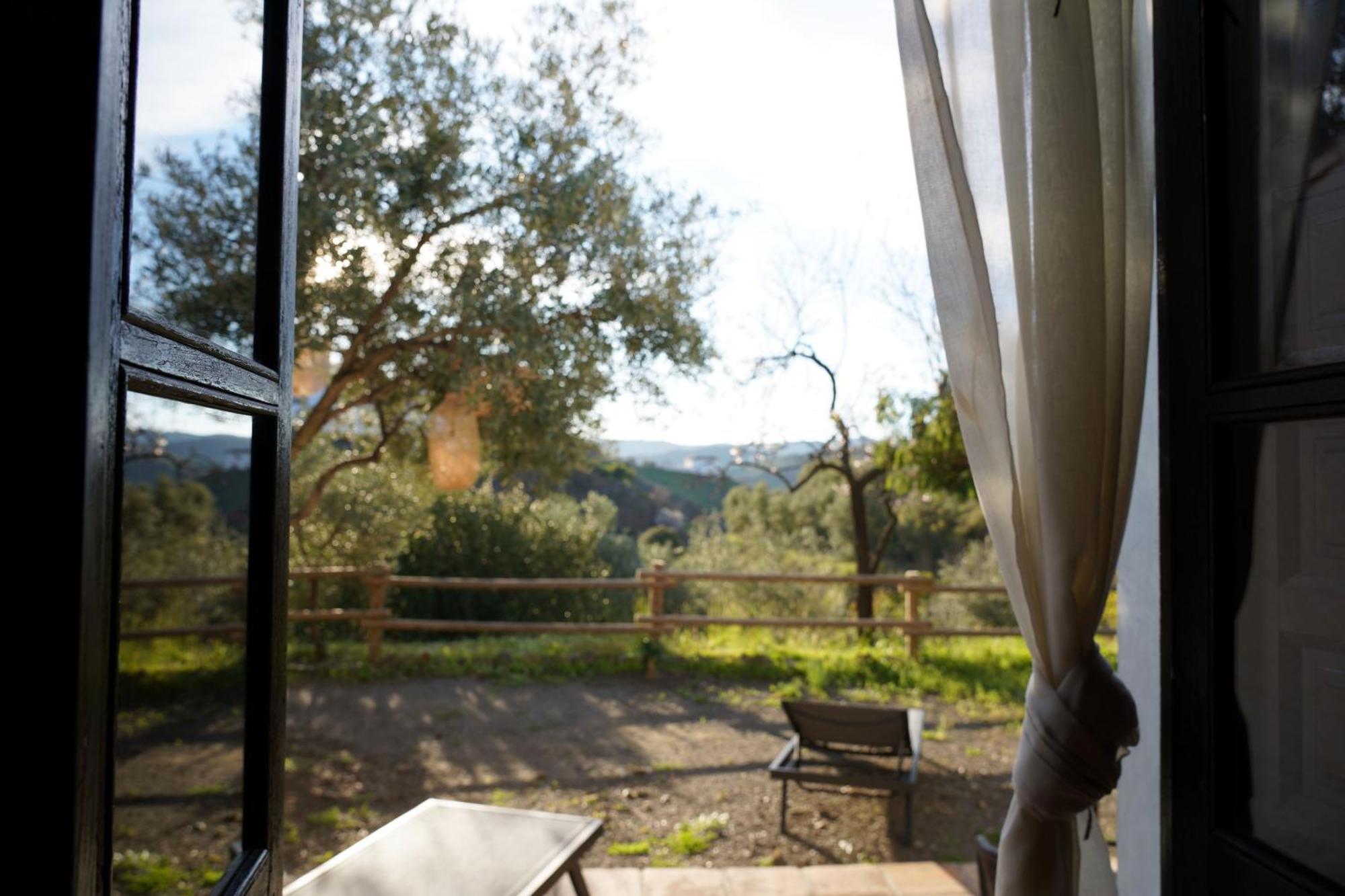 Cortijo Lagar De Luisa Guest House Borge Exterior photo