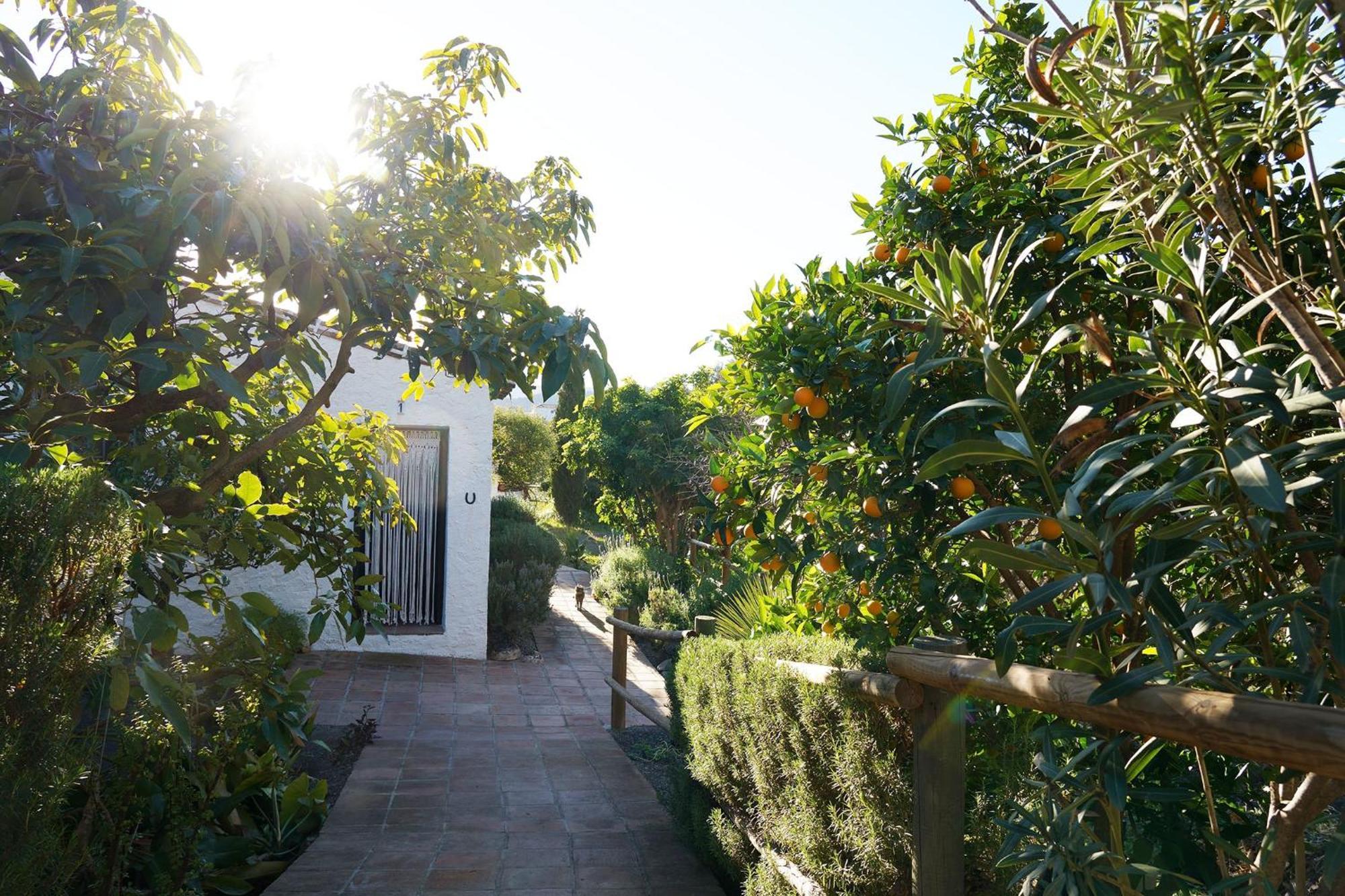 Cortijo Lagar De Luisa Guest House Borge Exterior photo