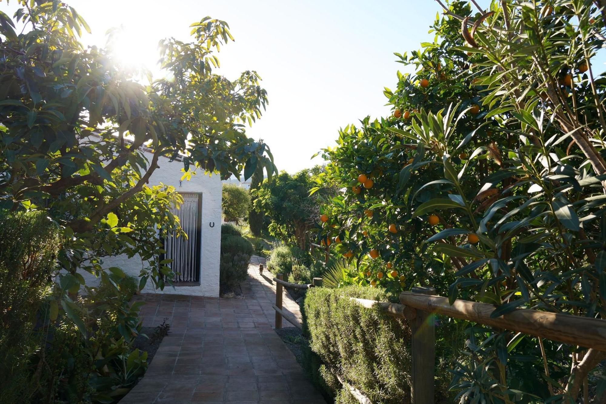 Cortijo Lagar De Luisa Guest House Borge Exterior photo