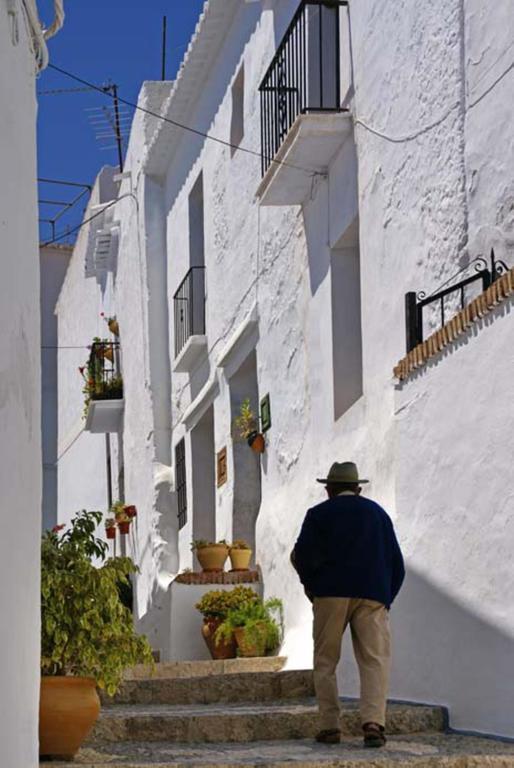 Cortijo Lagar De Luisa Guest House Borge Exterior photo